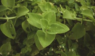 e5ce202e14eb805db5e4c7f16787dc563c44848a03e948c1bc3ba2211057b337