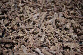 05b90638344a78de17cc965b87a8d6776b6e62f5ca4326e5b502ec87981c0abb