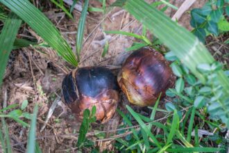 4b9573ed3ac60bba3d485b335a90ee149dc29cd3db150b18801a03e5ccf6e567