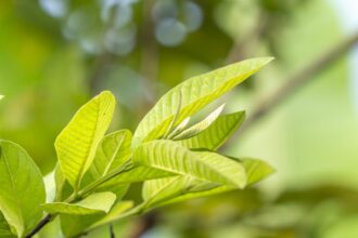 1efc0efecf0022a91dece0e16f4895e01a8550caf6ca6f552caa6f3e4dbdecfc