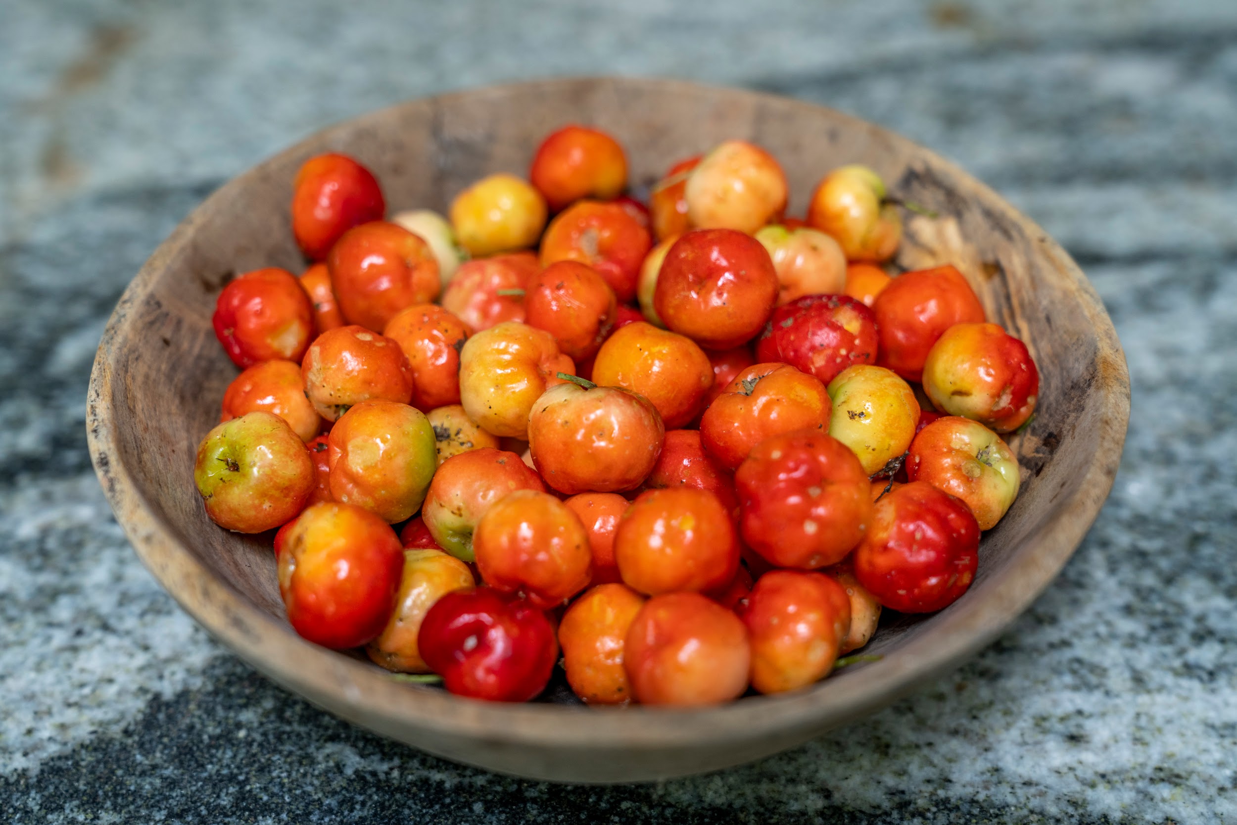 Acerola Cherry / Barbados Cherry