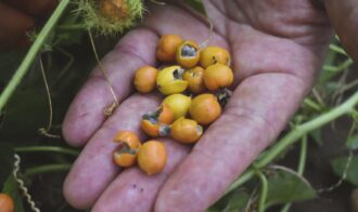 7c9e6b491bb68ca1c1792ada3abb05dc59af919eb25a64fc8949b86cac658a64