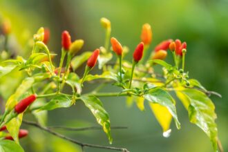 b0545ec0fbacc086a645547efa43f9536d2c857c6a59831f22e333b4924641de