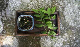 d932105e49aa4e48846f4564c55c0c1cc69edf90a01c4059c9cd250c0de1a0c6