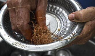 6ad1ef820e15c7cdcd79275e093d254955c92789d62a74f547ed0f84a712399c