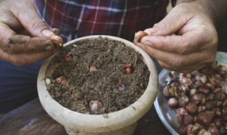 af95f25fb0d80f98796eee7b83509fb1bd80743fe376b69ed5937d7e360a6b8f