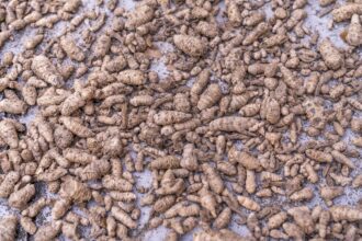 c71530898da1eb0169338bb80173d7226f97283686ec84b0ab0b6a7dd665eb34