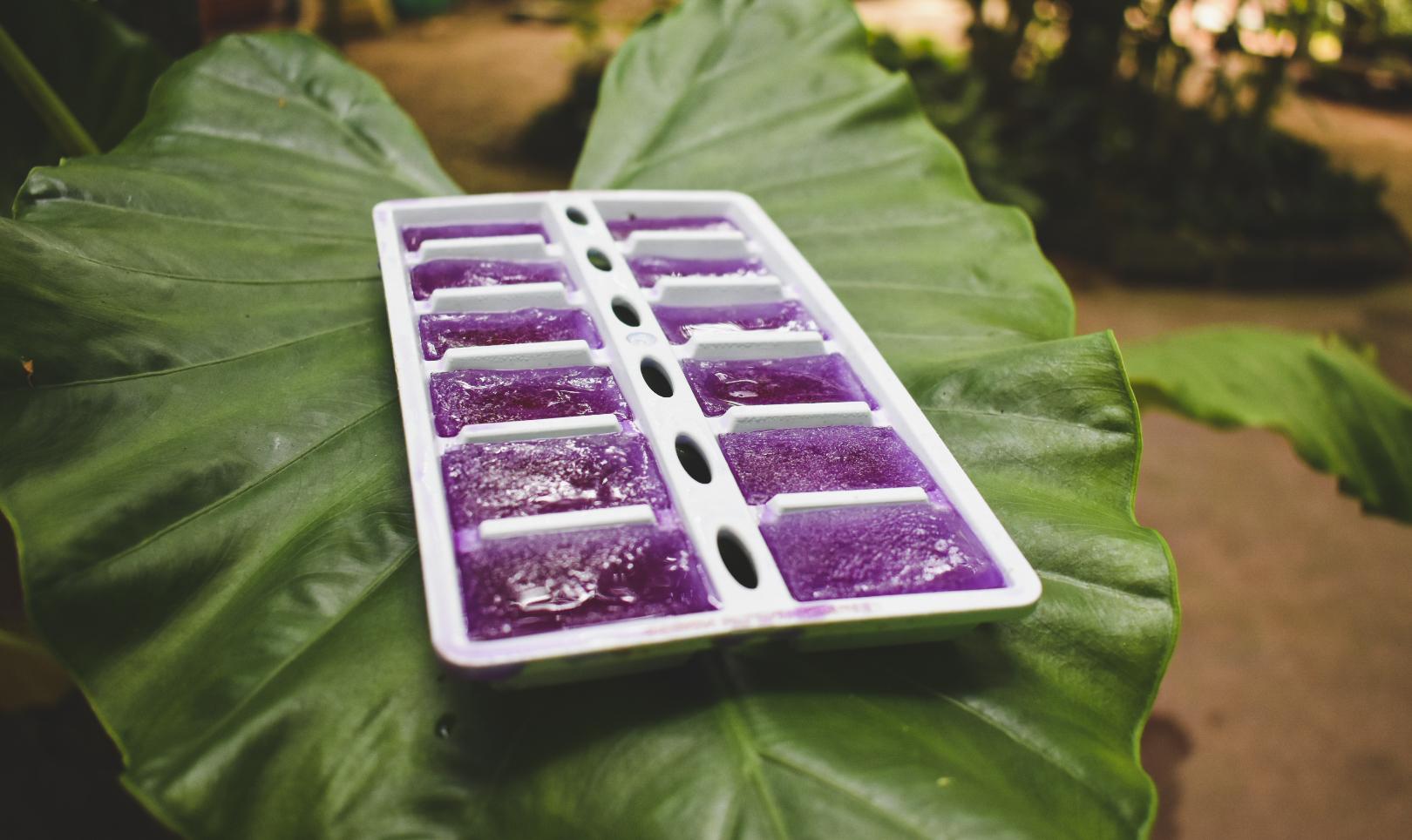 Butterfly pea ice cubes