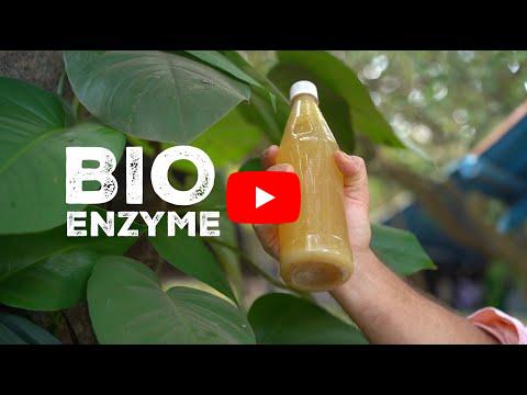 BIO ENZYME