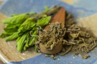 4750828edc9c5af501b1d4ebb0fd406302f703ba2512b84538655ec5ba62a429