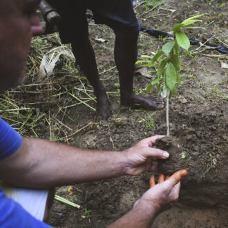 774d9d206f928ac99cf64bfaa984569b4de4c1aa28453b1f57a4584f00e832a7