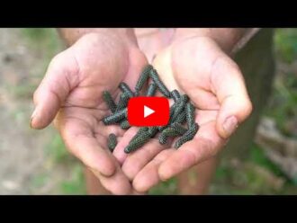 803245b3eecdca09f0f830f73d42c3d05dd6dcd5812c4024f41c5654a95e8338