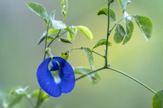 8455a2e2881714e7a224e8a0a38170c7f338cadf17156b9dcc300acd7d216526