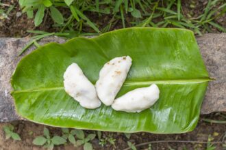 2e293aadd74aa6d23d2a304cb30f0083ea07289d31504f1def911a38fad04879