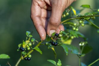 4fbbf0e221716d8e15445dbe98d3c8fe43f13a520bac60cf18a1fa4fea9e2f8b