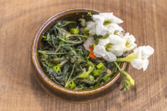 aae6aaf664c818f6c7e410d517440fef370454cb510b88b689c3b3bffb149013