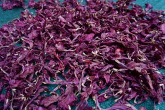 c7b64c42b361b4846c4d44d7653f69d3d57e8f5aa812a7e1417011117337ad4d