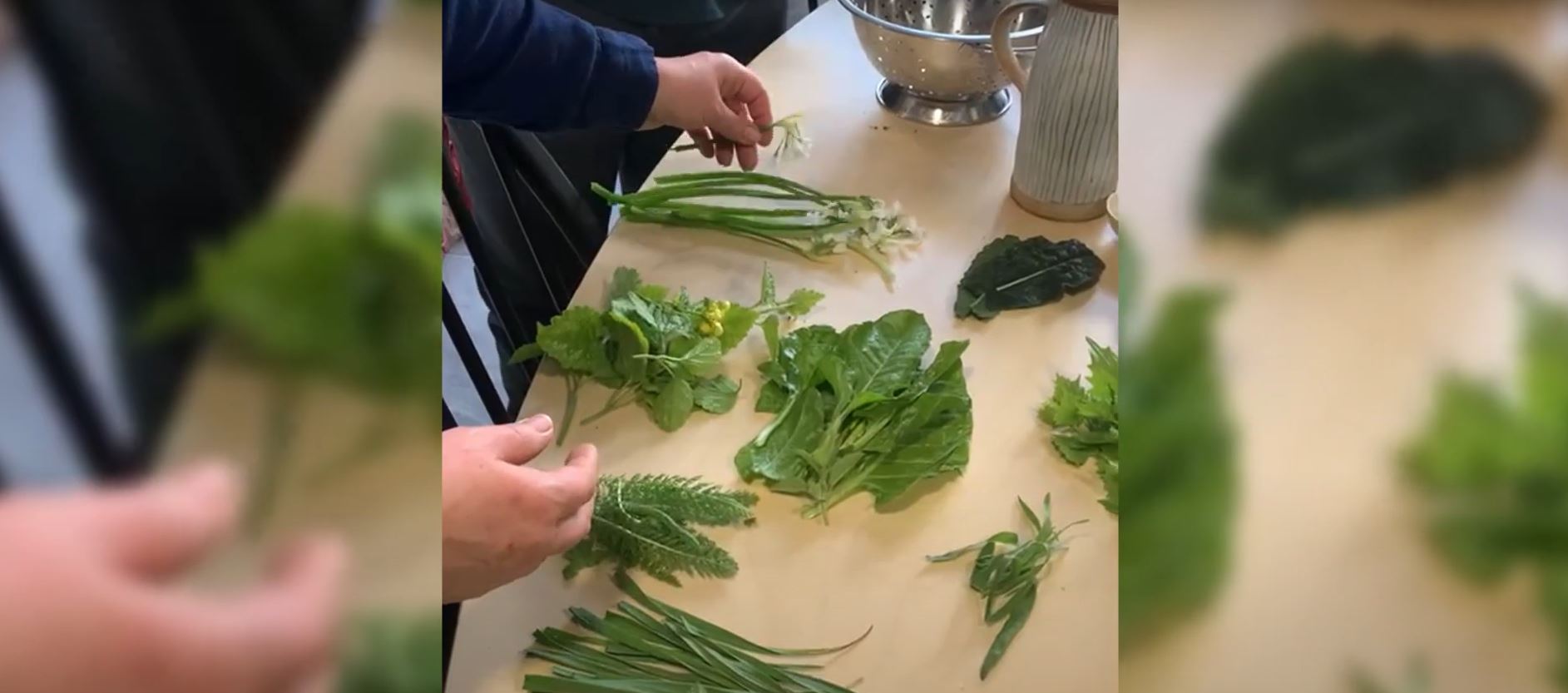 Edible Weeds in Uk
