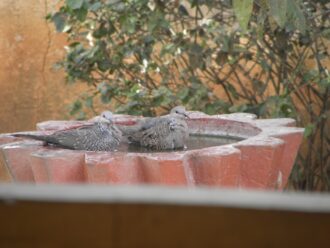 4331cb503e3d6fad1ef9d83da08eec8e4c0cce87fb996b2f81cc12408ff9db30