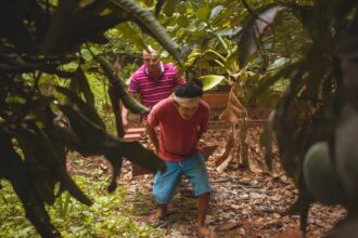 8424ffe4805339e1286b1ccf0f4c8c4fcf3ed837fa0019d46cac71d6c7125913