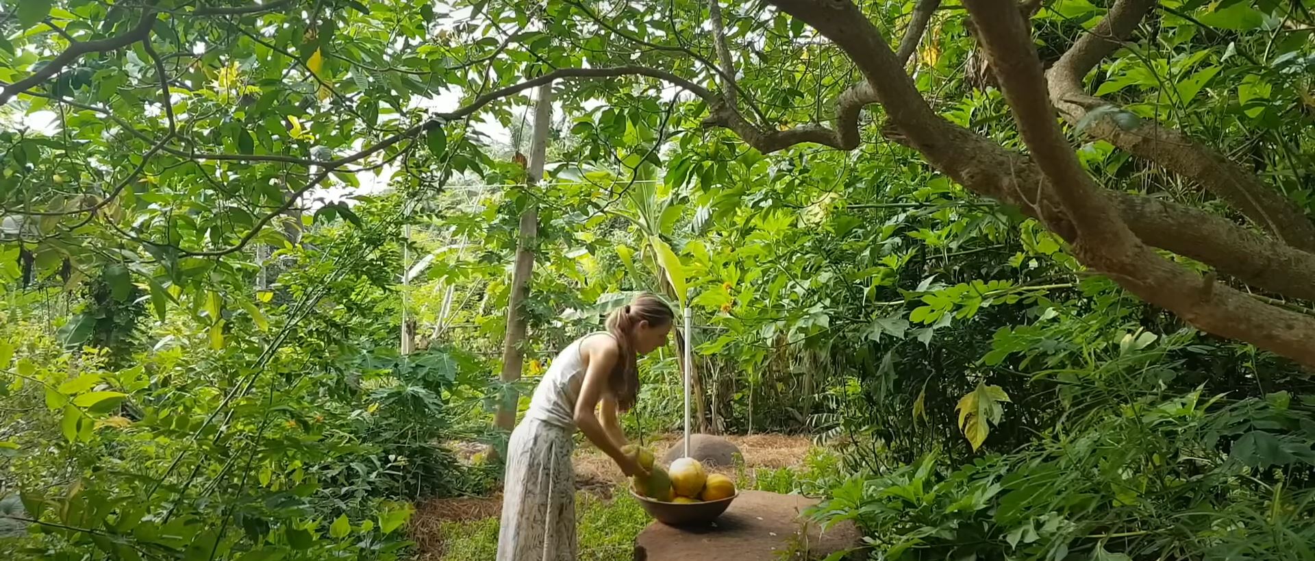 Sarah’s food forest