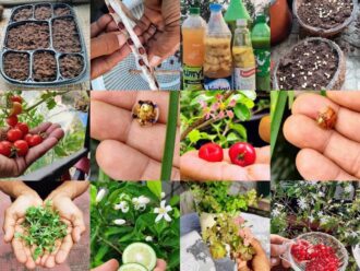 dcdd7db5bd4a0be33d1cf06bc4028d87f2c5ca1e83e5394e67c6f99fe3990c9b