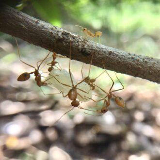 e98f8b171440d02a1c39cce16ada99cc5192e1a7fc191e2211cea67850bcacc5