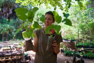 f0476acb855725d00e685ccc05d5de31532030d049ed17ba393a38ab289fb563