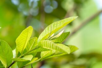 f9846a619a51cde75d04745aa0c5112c13d3b54f9d5e9b6f1e51bd15215c4f83