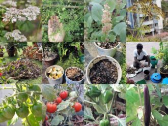 069ba4950ea92ce9a18cae0170e152641f9d3b00abd7a023af417680d5d35ad7