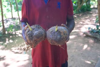 10643da5d92e8a51b71a7c6569a2eb3c83d8742ca8fd1639ef988c3bb98715e3