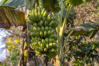 1227cc057d174c1010a97c32d7491925d3e252e43221b7845553a04e29242d48