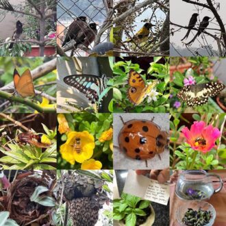 13aee36b87f18e5a94fe15dbf521d9e3ff70aa88be7ea7bf68343bd99e23fa0f