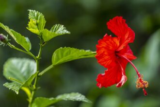 4e25df8f2489de3b843a16022a4a12d473d861d852bf0c0c7fc3f7d199b8b45b