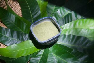 686f56a5a5843300399b7b148e013e5bc68b24e0775109c8387d5c11810a4b4c