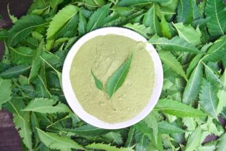 7ae117557d9ebcb37008bc05f3013c75a17af84f1dfcb01b803543f1a5a682cd