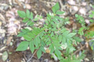 7c4f4e19c88f9395a309349f6eb6b40806222275993cf0c943fdaad15040bb11