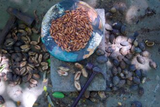 866bd6553e7353a5963e01cf607af5504011899456dbc60e13bff594e38d5811