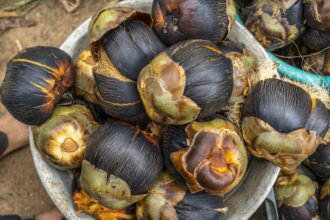 94dea5a1f11c0334b92f0165327d5f8c152a6de0c030cb6ddc2c2eb361955d73