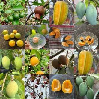 9d824f1f378d19e385aa2475d5b9a498695daefc5185b474976300f217e3d6a1