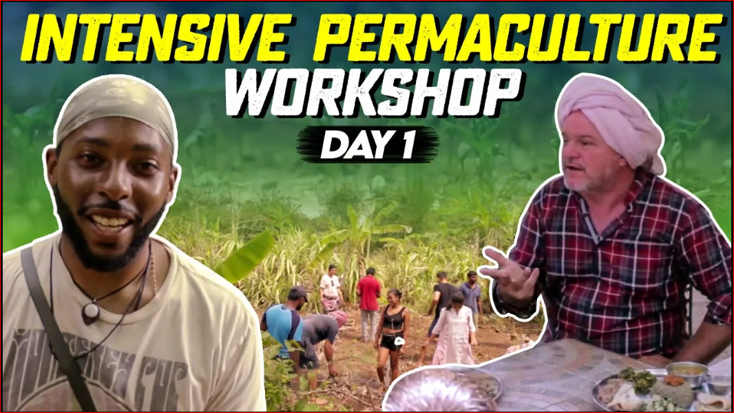 Day 1 – Permaculture workshop 