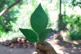 af601effa2af3f7c8a5f0746d9994ca7dd2f2913ef442a9b9285a8e90bd5cd6b