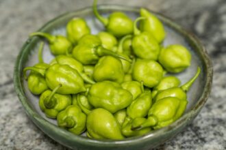 b031494f8441a86a5c1a534caf83e595fc3cd600ab003acdfb5ce43480fae817