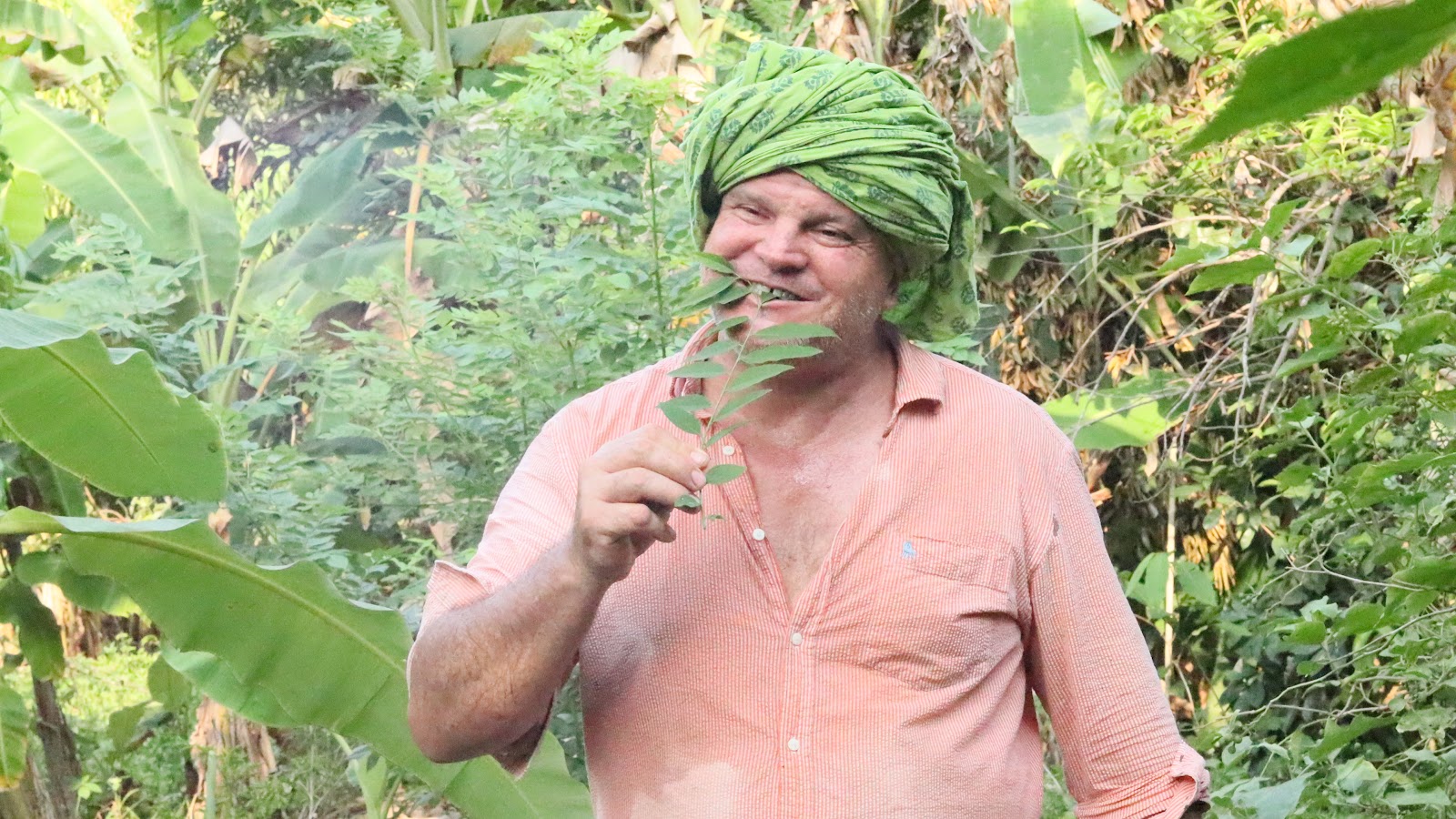 Thavasi Kerai: The multi-vitamin plant is a Nutritional Powerhouse