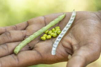 b6fd82669e3bea50c0f0146f4fed3c45e2d9720f360c2b427ea9f37572b073bd