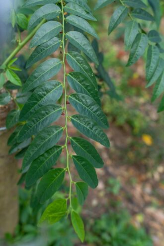 d7ebfe9c365f5111060dc2ee3e847b5f9743f6baa8f21f3487eaf9bc87c16a1b