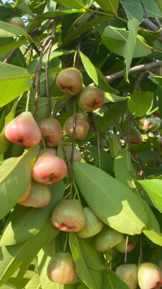 ed5de87cb3a197edf00420268346c558c6147f9503565f818ff3c9d874576d2b