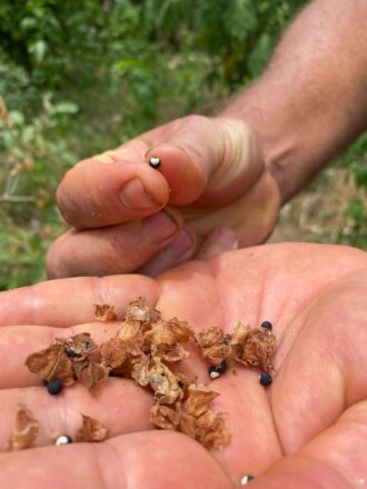 00f21b60335ec5659fbd17367bf7a9c00ce6559e795fdb3adf03f934095b31c5