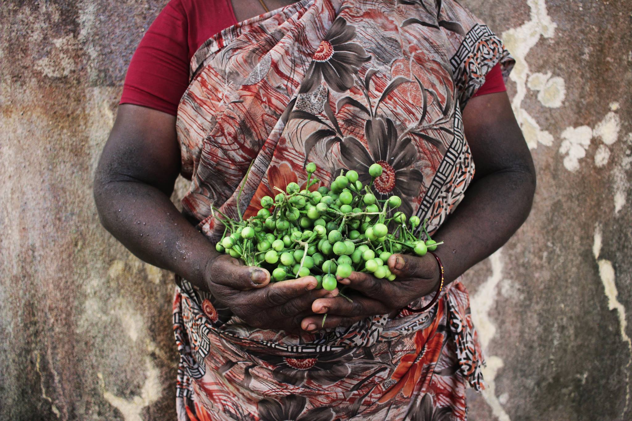 The Last Custodians of Cultural and Nutritional Identity- 1