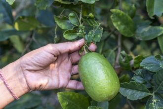 50a6d5664e9aa25400002ffe6840dee37f9bf03ddc89f3b71c1564da3097174a